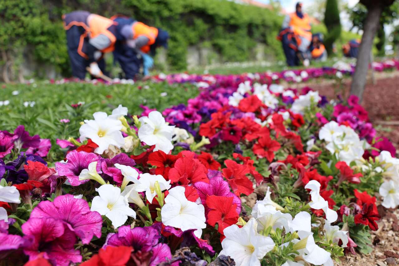 Konya’da 1 milyon 800 bin çiçek toprakla buluştu 28